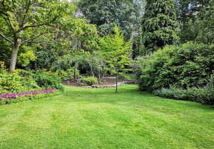 Optimiser l'expérience du jardin à Beuzeville-au-Plain